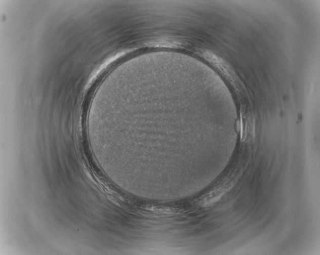 X0000085270531200704092142