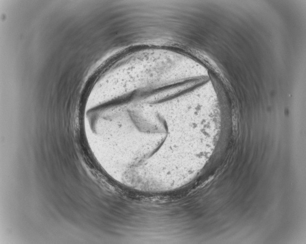 X0000085270532200704092142