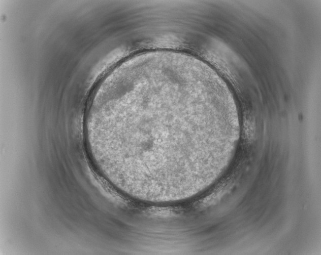 X0000085270534200704092142