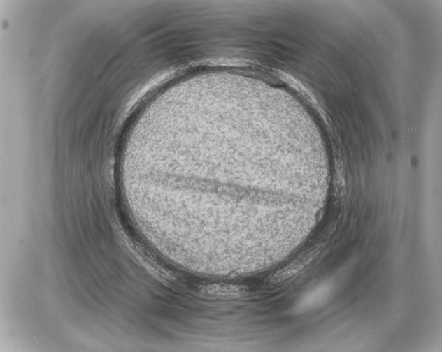 X0000085270535200704092142