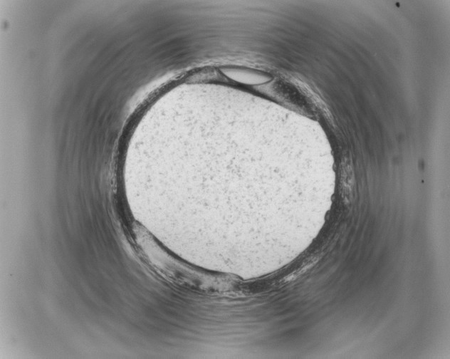 X0000085270536200704092142