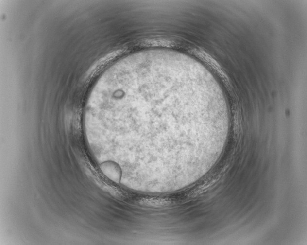 X0000085270537200704092142