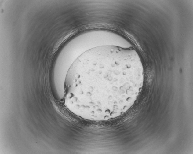 X0000085270538200704092142