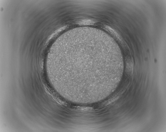 X0000085270539200704092142