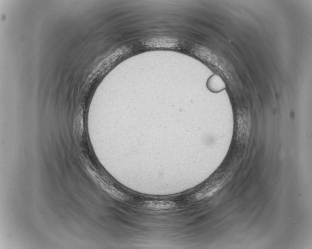 X0000085270541200704092142