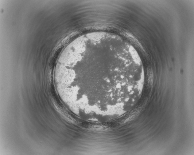 X0000085270542200704092142