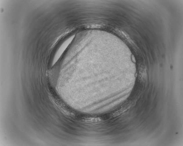 X0000085270543200704092142