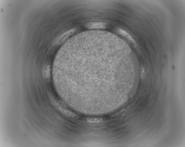 X0000085270549200704092143