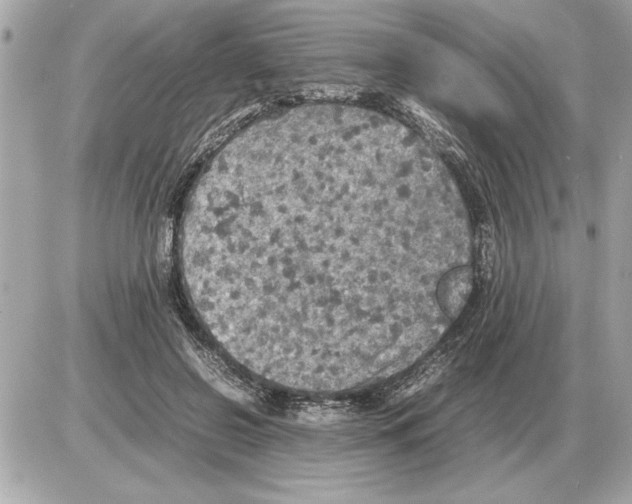 X0000085270550200704092143