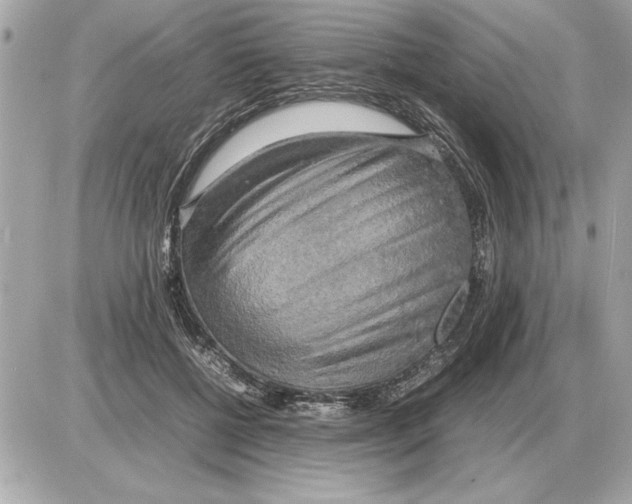 X0000085270552200704092143