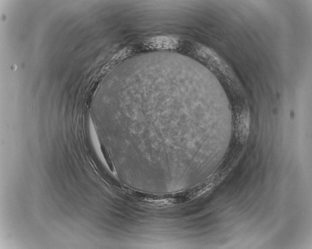 X0000085270553200704092143