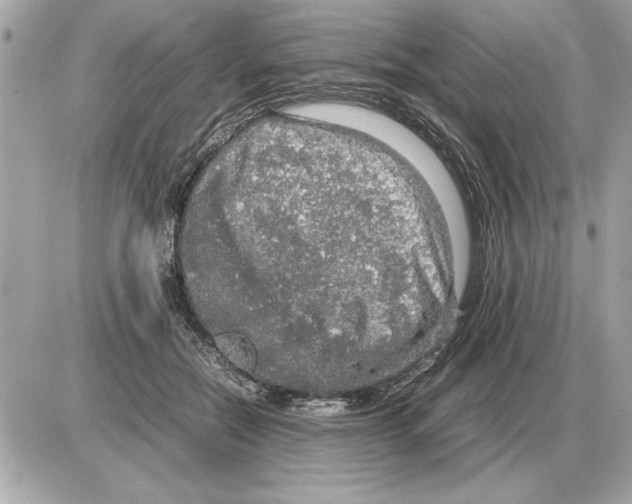 X0000085270554200704092143