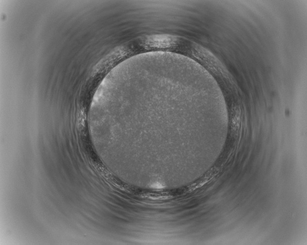 X0000085270555200704092143