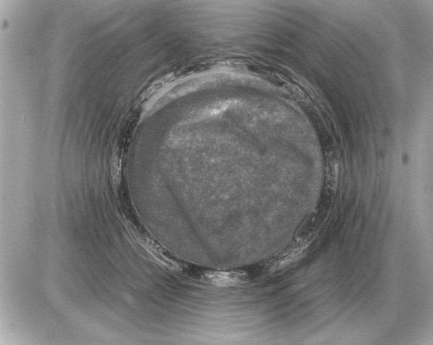 X0000085270558200704092143