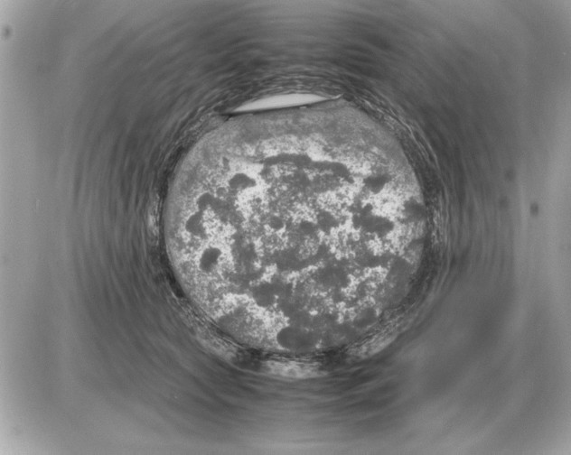 X0000085270561200704092143