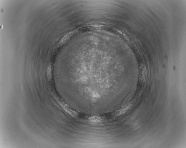 X0000085270562200704092143