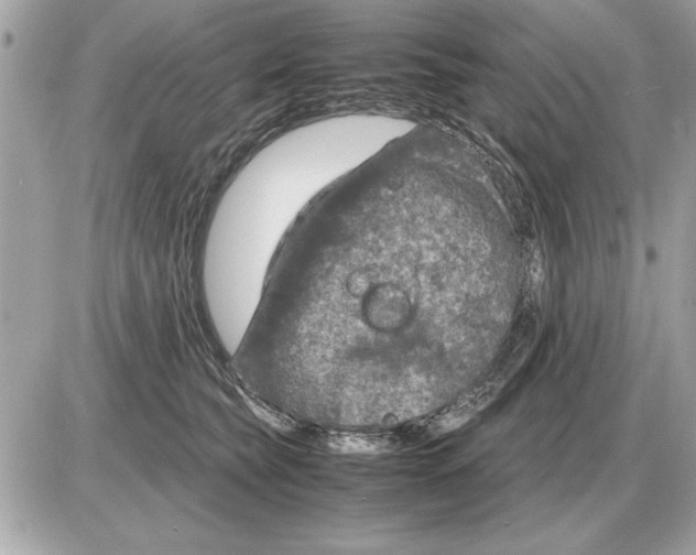 X0000085270565200704092143