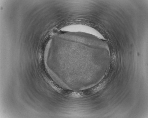 X0000085270566200704092143