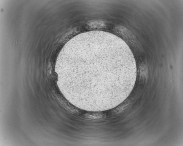 X0000085270567200704092143