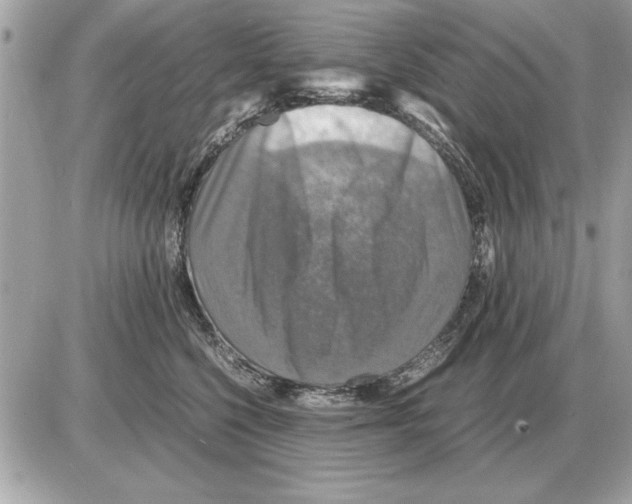 X0000085270568200704092143