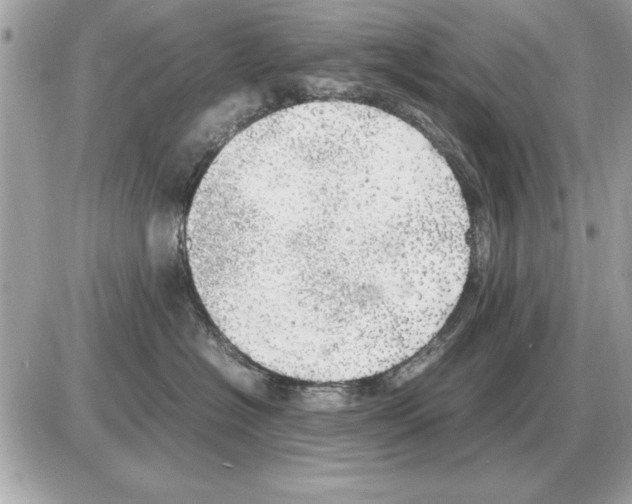 X0000085270574200704092143