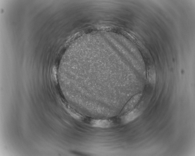 X0000085270575200704092143