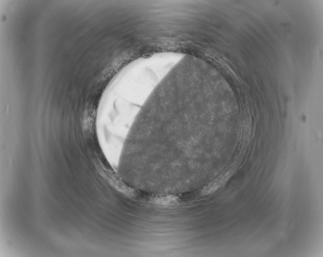 X0000085270576200704092143