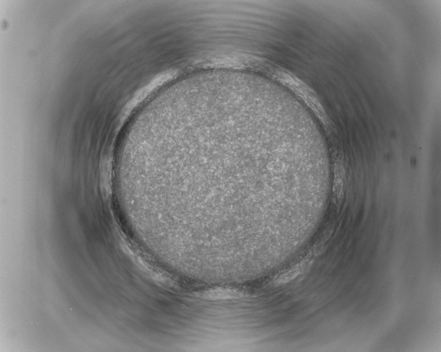 X0000085270578200704092142