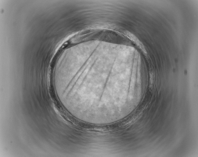 X0000085270580200704092142