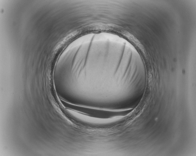 X0000085270581200704092142