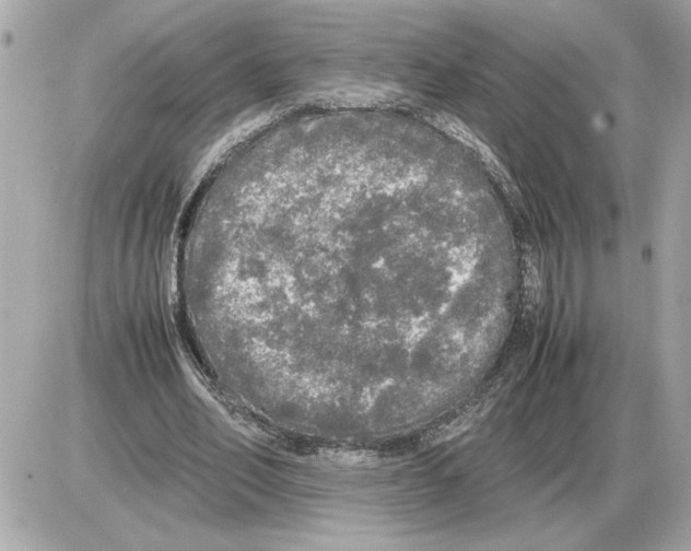 X0000085270582200704092142