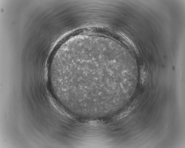 X0000085270584200704092142