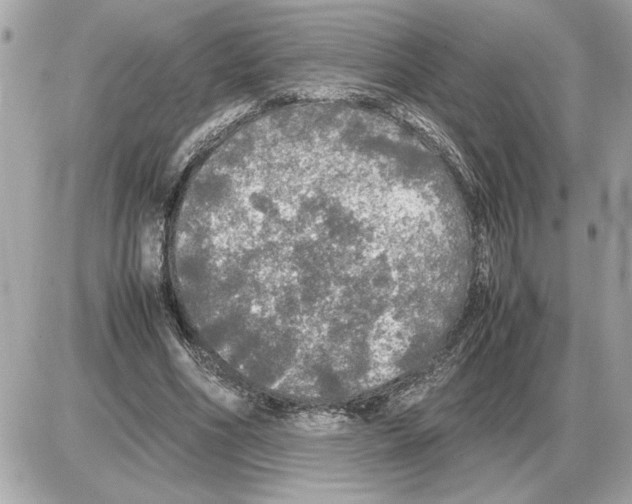 X0000085270586200704092142