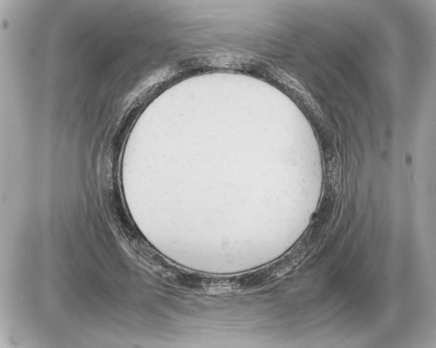 X0000085270587200704092142