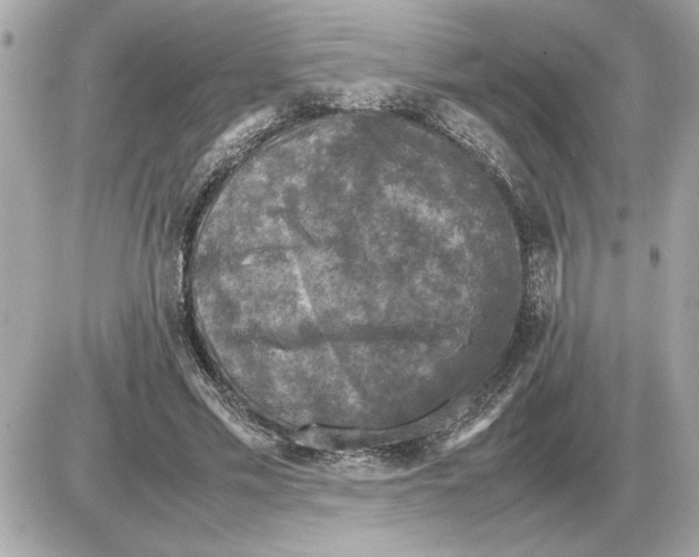 X0000085270589200704092142