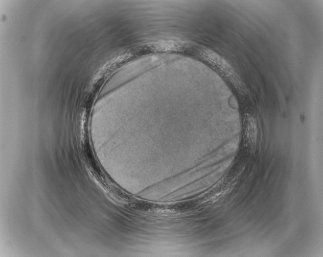 X0000085270590200704092142