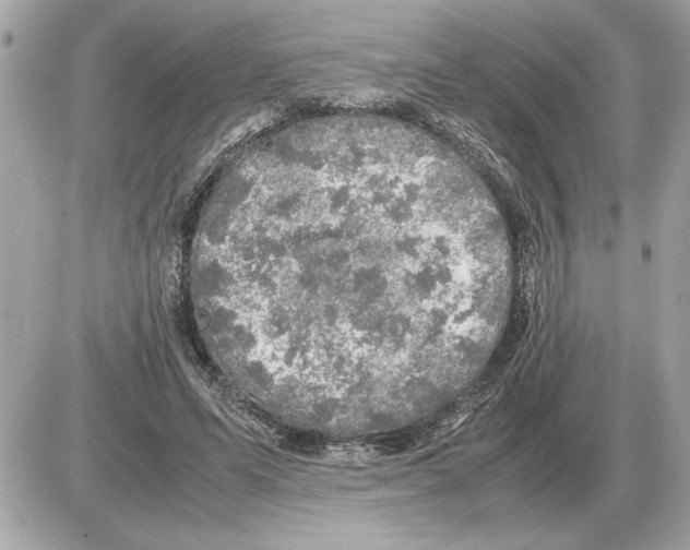 X0000085270591200704092142