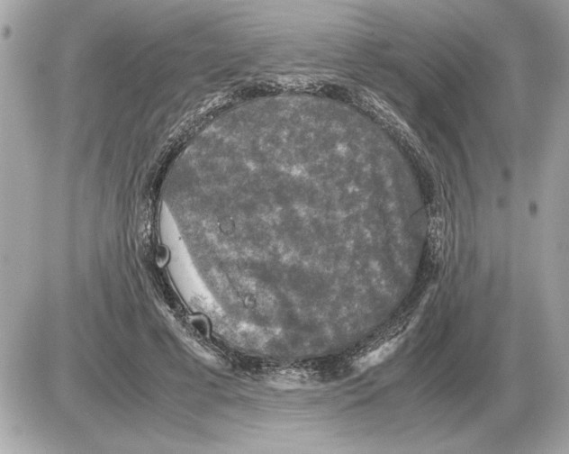 X0000085270593200704092142