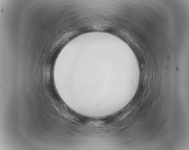 X0000085270595200704092142