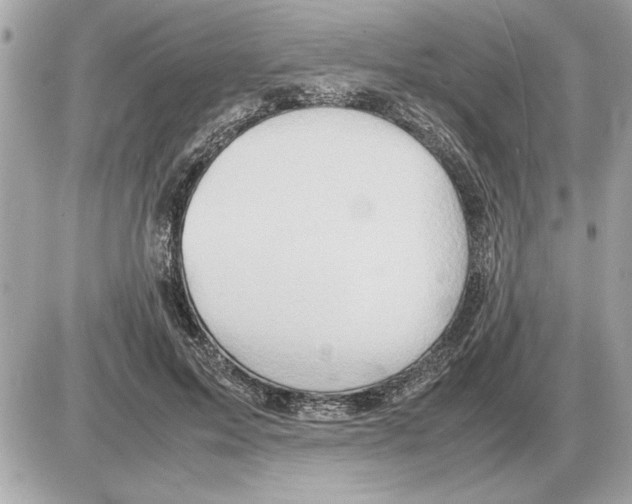 X0000085270599200704092142