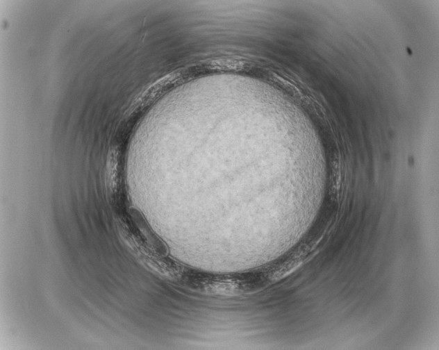 X0000085270600200704092142