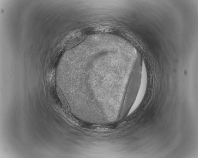 X0000085270601200704092142