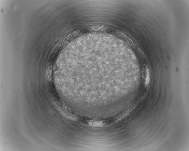 X0000085270602200704092142