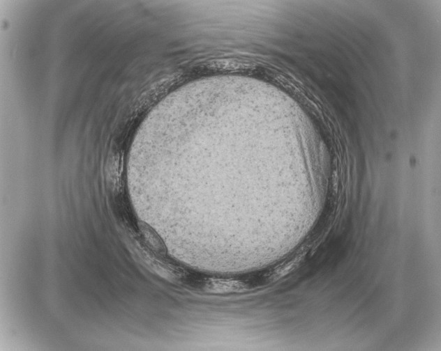 X0000085270605200704092142