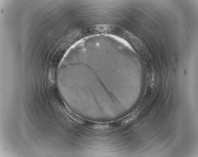 X0000085270606200704092142