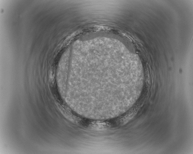 X0000085270607200704092142