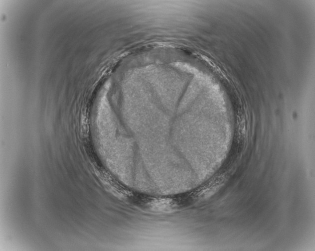 X0000085270609200704092142