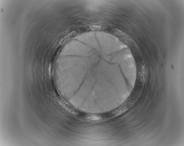 X0000085270610200704092142