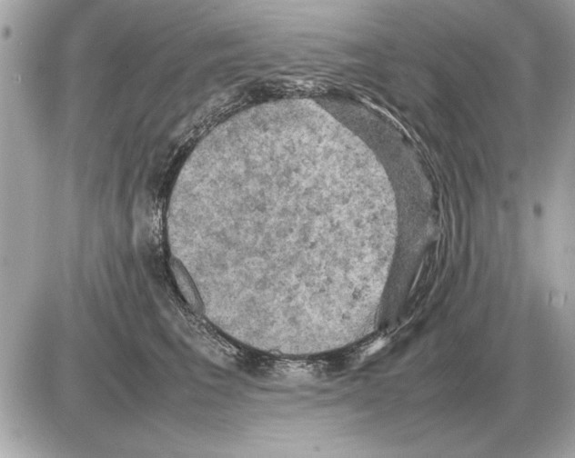 X0000085270613200704092142