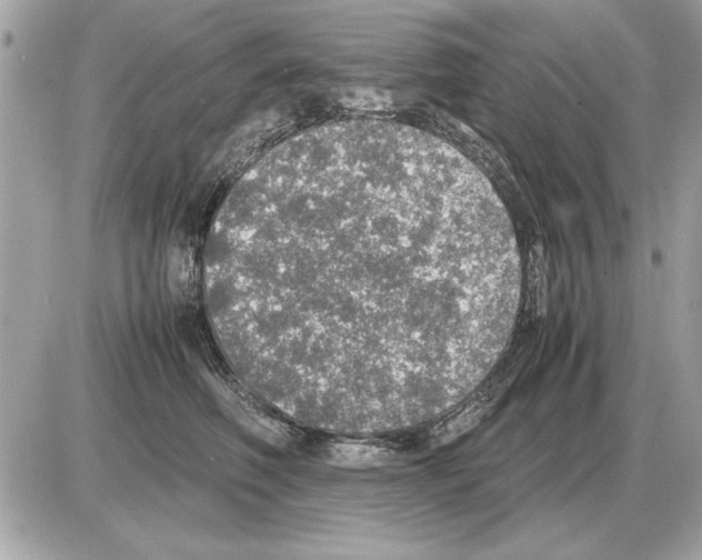 X0000085270614200704092142